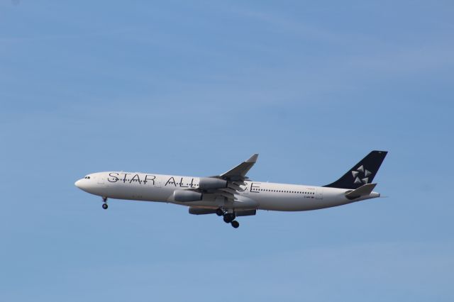 Airbus A340-300 (D-AIFF) - Lufthansa 426 Landing from Frankfurt Germany! Taken at Red Bank Park in New Jersey!