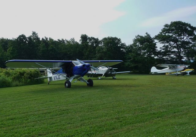 Piper L-21 Super Cub (N76JD)