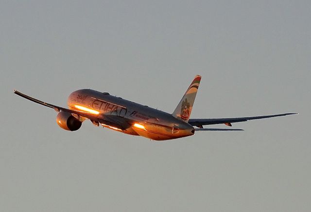 Boeing 777-200 (A6-LRD)