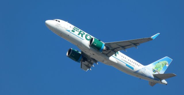 Airbus A320neo (N390FR) - Shortly after departure is this 2022 Frontier Airlines Airbus 320-251N with "Juan" the Puerto Rican Parrot getting the tail view in the Autumn of 2023.