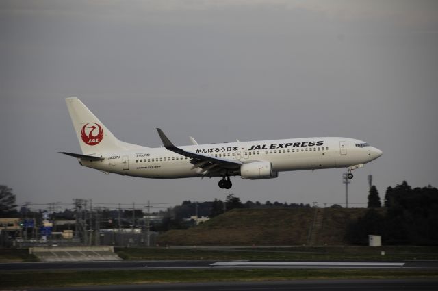 Boeing 737-800 (JA337J) - Landing at NRT Airport Runway 16L on 2011/11/23 Gannbarou Nippon