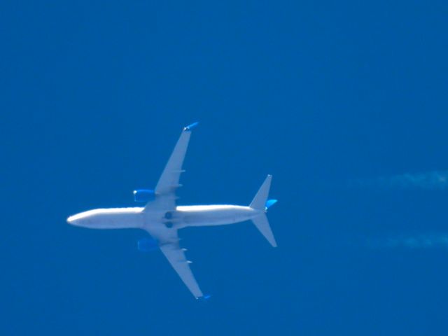 Boeing 737-800 (N37290) - UAL2029br /IAD-SANbr /10/25/2024