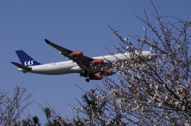 Airbus A340-300 (LN-RKF) - Final Approach to NRT Airport R/W34L on 2012/04/08