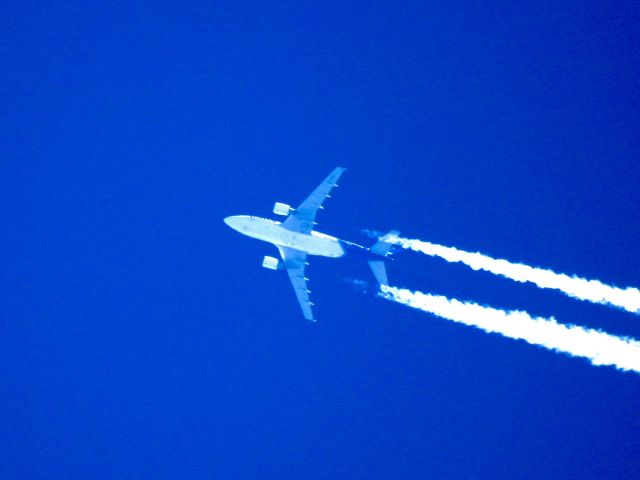 Airbus A310 (C-GTSH) - TSC2823