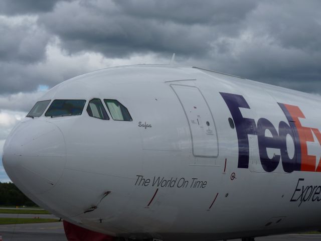 Airbus A310 (N732FD) - safaa on the nose under Captains window. Named after a pilots daughter.