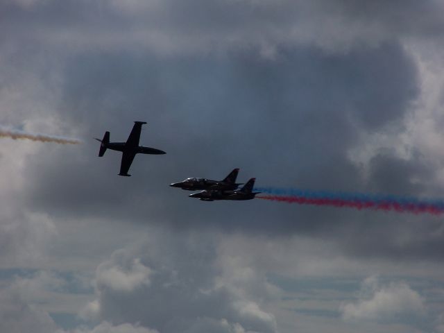 Aero L-39 Albatros — - MCAS Miramar Airshow 2006  San Diego, CA  High speed head on pass!