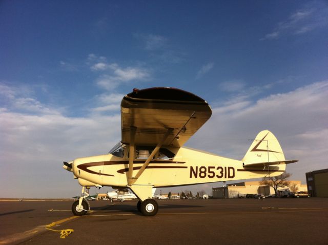 Piper PA-22 Tri-Pacer (N8531D)