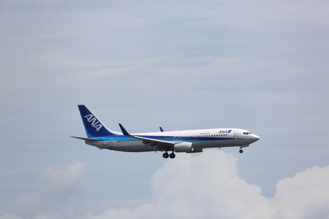 Boeing 737-800 (JA54AN)