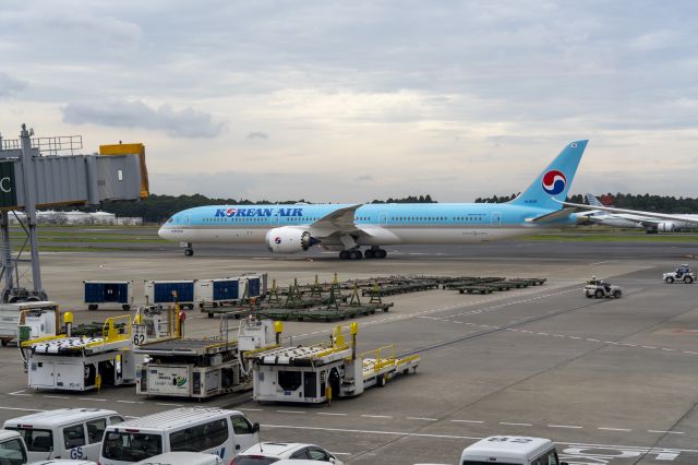 BOEING 787-10 Dreamliner (HL8536)