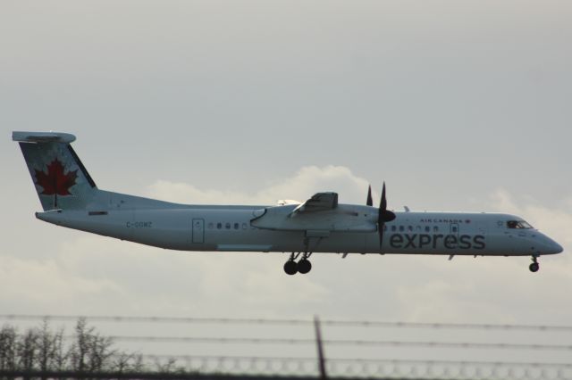 de Havilland Dash 8-400 (C-GGMZ) - Landing at Edmonton. Standing on the south end of runway 12/30.