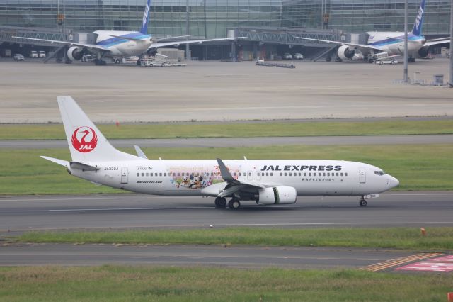 Boeing 737-800 (JA330J)