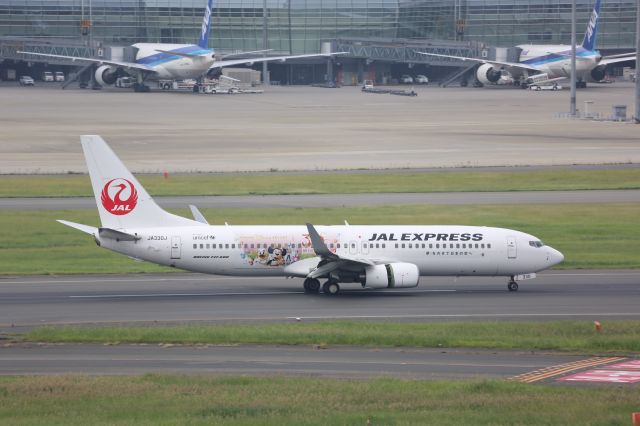 Boeing 737-800 (JA330J)