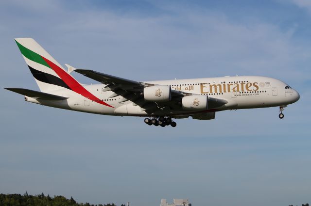 Airbus A380-800 (A6-EDY)