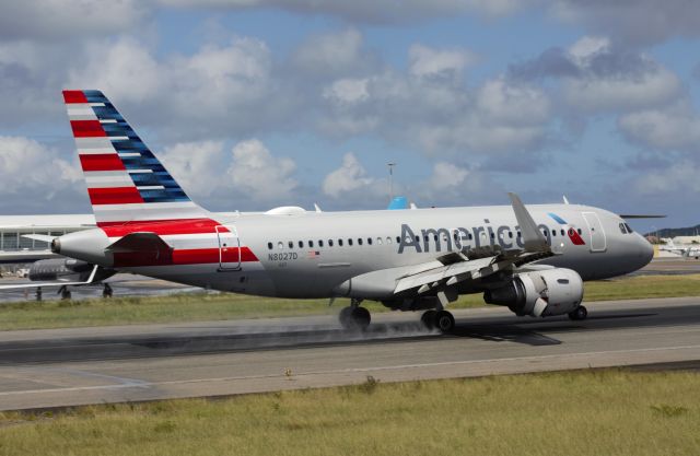 Airbus A319 (N8027D)