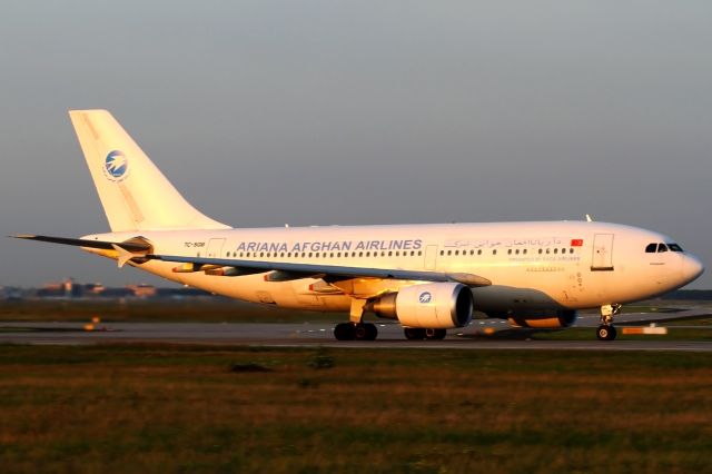 Airbus A310 (TC-SGB) - deep yellow evening sun, Rwy 18