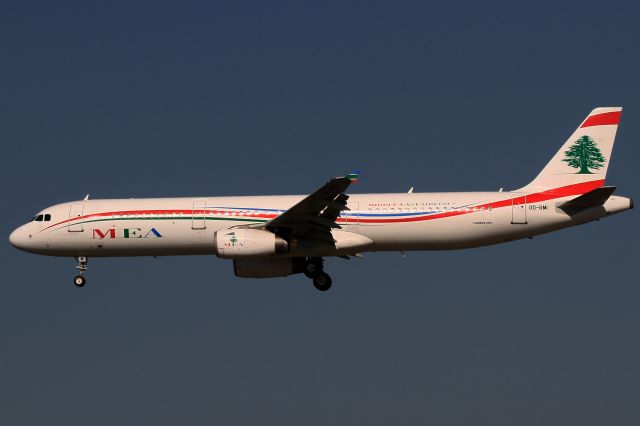 Airbus A321 (OD-RMI)