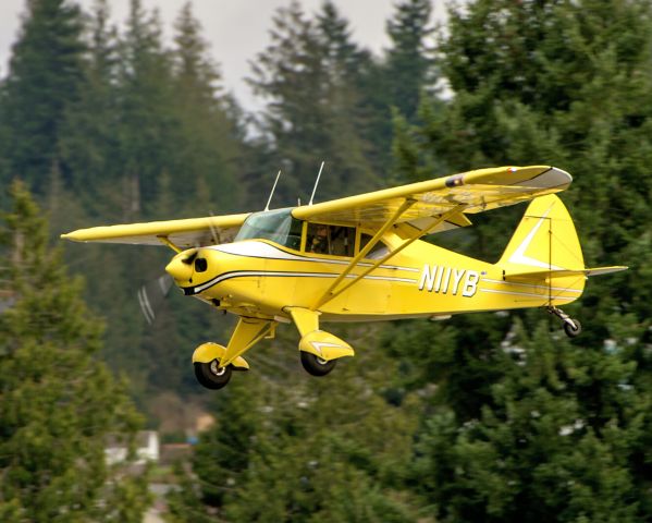 Piper PA-20 Pacer (N11YB) - 1950 Piper PA-50