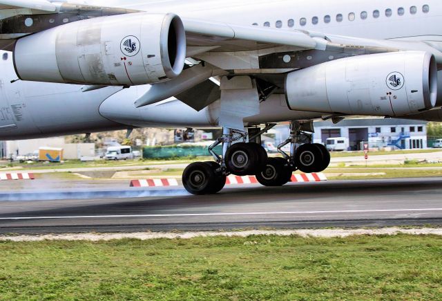 Airbus A340-300 (F-GLZM)