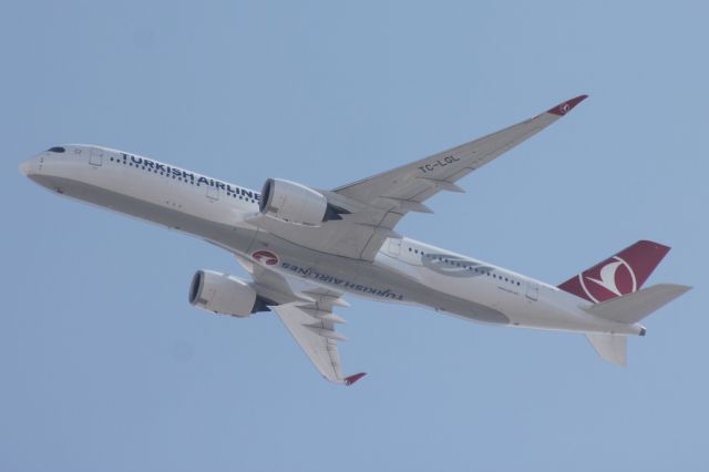 Airbus A350-900 (TC-LGL)