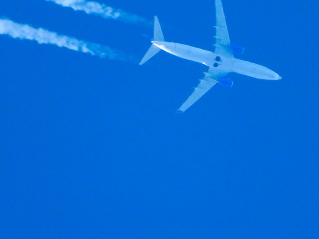 Boeing 737-800 (N77525) - UAL766br /SJD-ORDbr /01/24/2025
