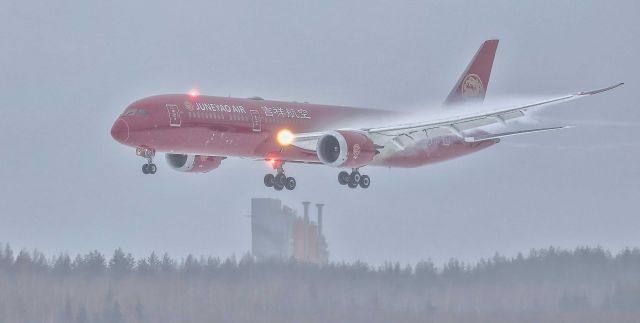 Boeing 787-9 Dreamliner (B-20EC) - Juneyao Air (Oriental Ruby Livery)