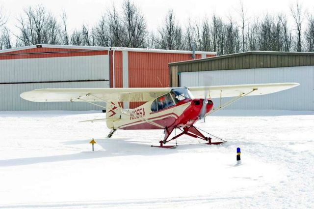 Piper L-21 Super Cub (N1355A) - flyin feb 2016