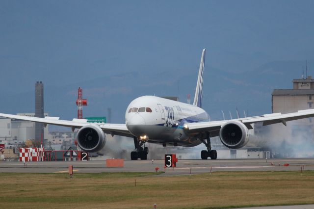 Boeing 787-8 (JA818A) - 08 November 2015:HND-HKD.