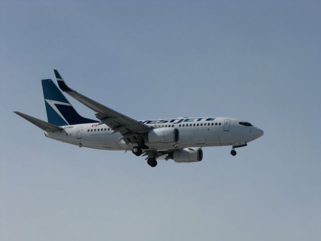 Boeing 737-800 (C-FMSV)