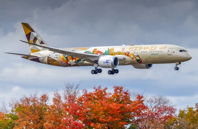 航空機・ヘリコプター 1/400 B787-9 Take Dreams Flight