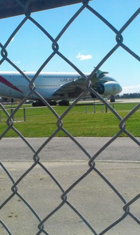 Airbus A380-800 (A6-EUF) - Standing at the gates at yaldhurst back of chch airport when this girl came in!