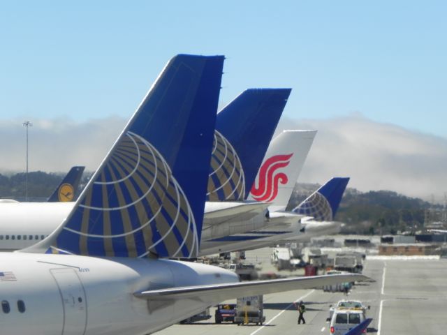 — — - International terminal at SFO: A319, 3xB744, A388