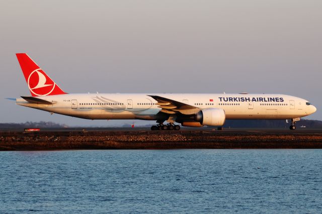 BOEING 777-300ER (TC-JJL) - Turkish B777-300 subbing for B789 to Logan on 3/14/24.