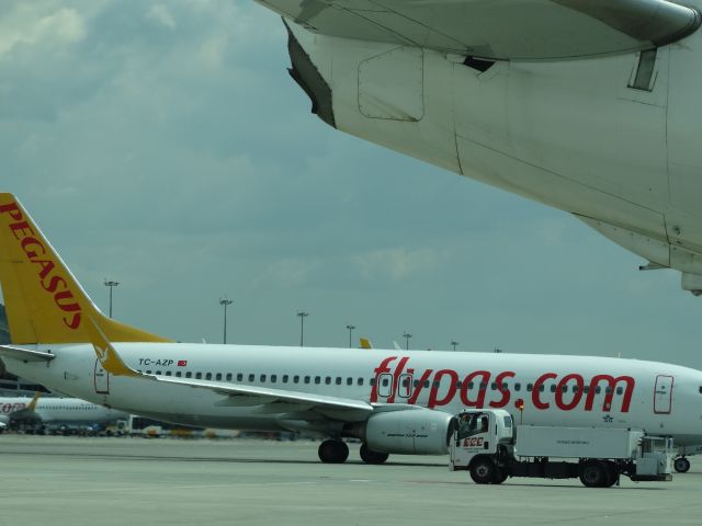 Boeing 737-800 (TC-AZP)