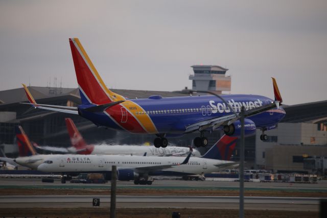 Boeing 737-800 (N8311Q)