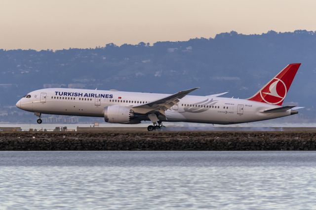 Boeing 787-9 Dreamliner (TC-LLV) - 28th of January, 2024: Flight TK 80 from Istanbul makes a smokey touchdown on runway 28L at SFO 
