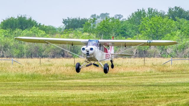 Piper L-21 Super Cub (N9653P) - Piper PA-18 Super Cub at Pioneer Flight Museums May 2023 Wings and Wheels at Old Kingsbury Aerodrome