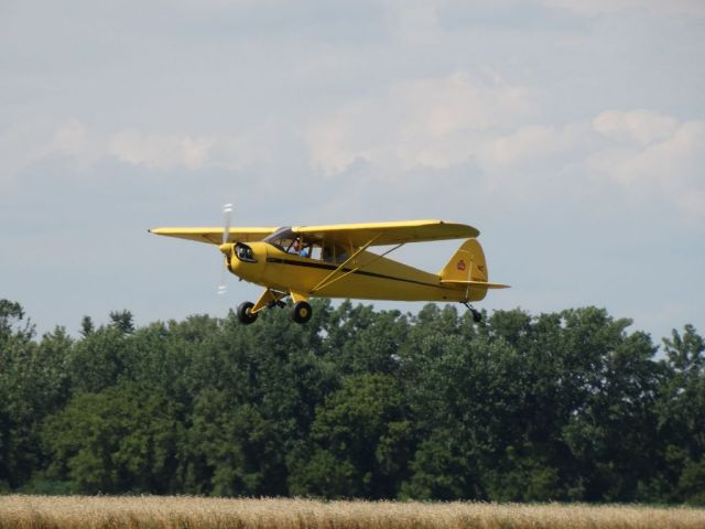 Piper L-14 Cub Cruiser (N38633)