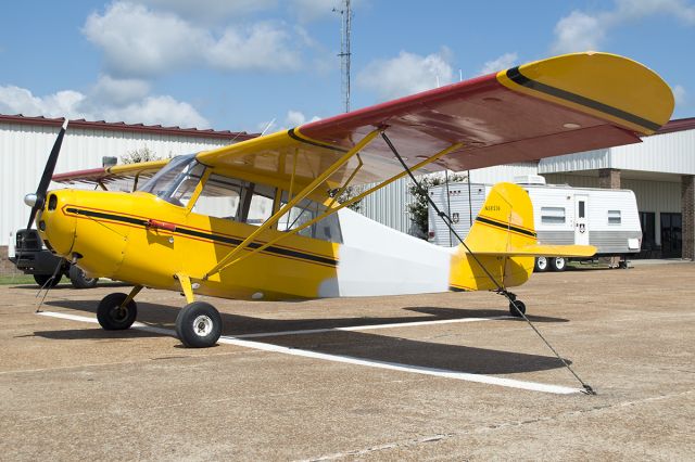 CHAMPION Tri-Traveler (N68516) - BELLANCA, 7ACA Champ, July 2013. 