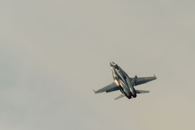 McDonnell Douglas FA-18 Hornet (18-8797)