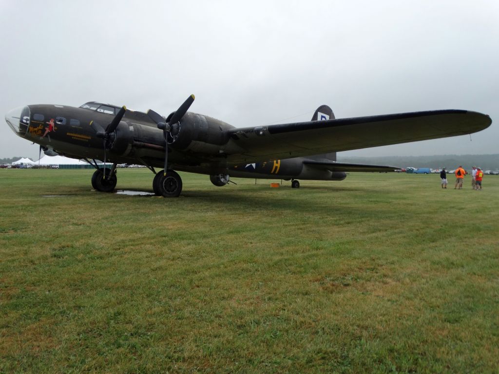 Boeing B-17 Flying Fortress (N3703G)