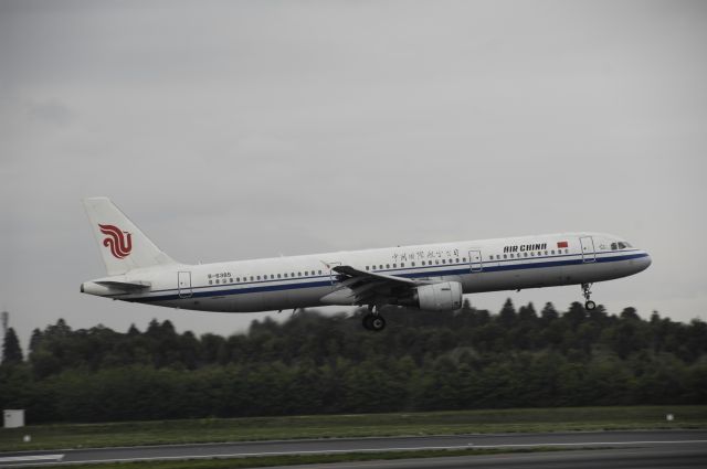 Airbus A321 (B-6385) - Final Approach to Narita Intl Airport Rwy16L on 2013/04/18