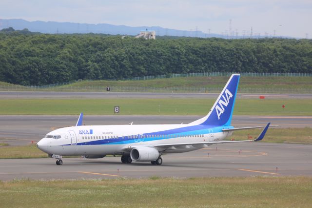 Boeing 737-800 (JA52AN)