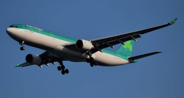 Airbus A330-300 (EI-ELA)