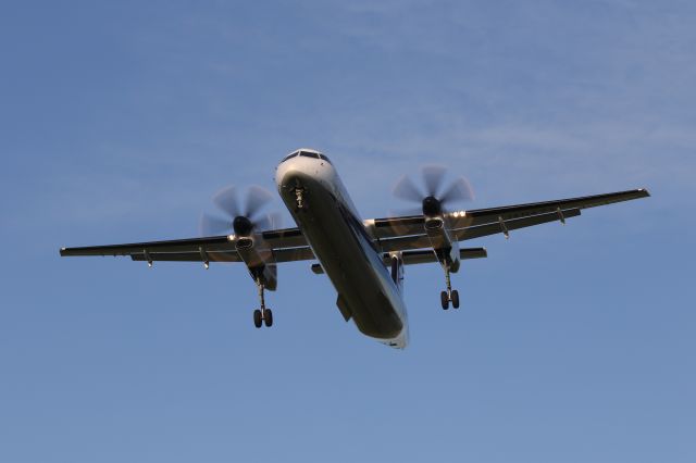 de Havilland Dash 8-400 (JA847A) - July 01, 2024:CTS-HKD.
