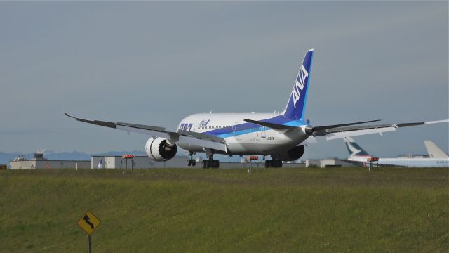 Boeing 787-8 (JA812A) - BOE509 (LN:56) touches down on runway 34L completing a flight test on 6/15/12.