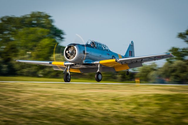 North American T-6 Texan (N407EZ) - A 1944 North American Harvard III (AT-6D), touching down at Heritage Field (KPTW) for an Antique Fly In 5/21/21 during golden hour.