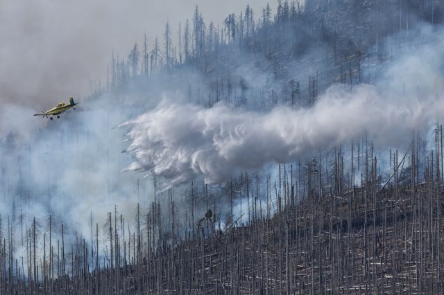 Air Tractor AT-802 (LV-FBB) - helpful air support during a forest fire in Germany. September 2024.