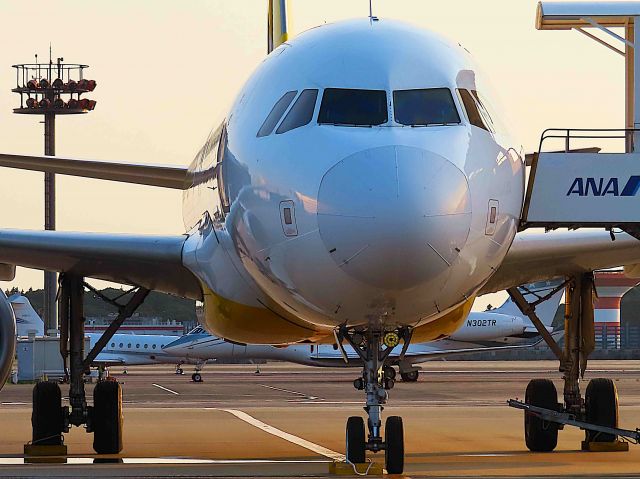 Airbus A320 (JA08VA) - I took this picture on Jul 17, 2019.br /JW821/17Jul ASJ-NRT