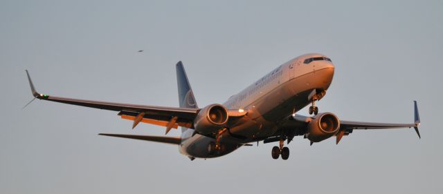 Boeing 737-800 (N87507)