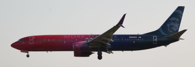 Boeing 737-900 (N493AS) - A somewhat rare bird to get and see at IAH with their ARR/DEP times.